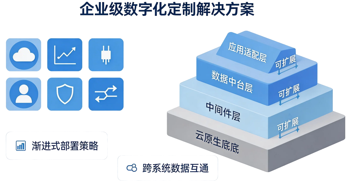 企业级数字化定制解决方案